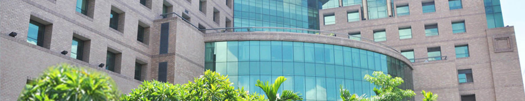 banner-profile